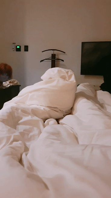 B612_20191210_043753_081_1.gif