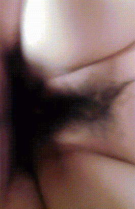 kam230323031.gif