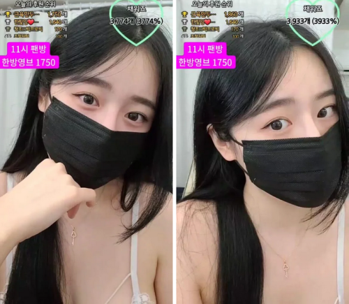 청조 2023 05 29