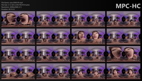 wavr295B.VR.mp4 thumbs