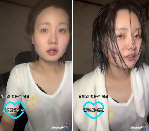 골골송 (jhn9656)