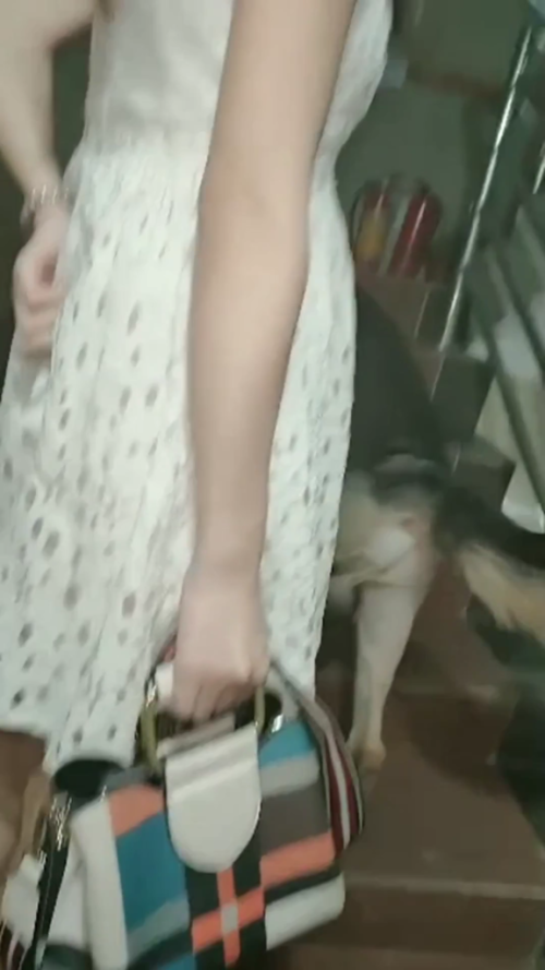 1.mp4 000027840 576x1024