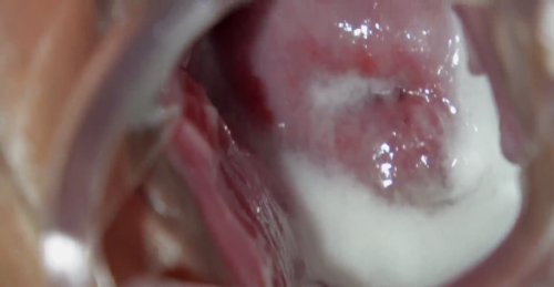 chn24012501.mp4 001263366 1024x530