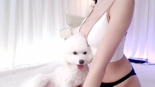 %EB%B2%A0%EB%A6%AC 2024 01 31.mp4 005505438 1024x576