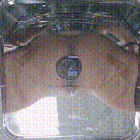 906.avi_000087220.gif