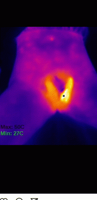 a3bc065.gif