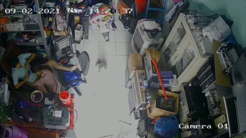 1.mp4 000067766 1024x576