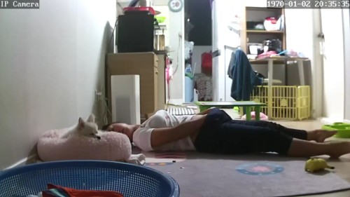 ip ㅈㅇ 48.mp4 000436833